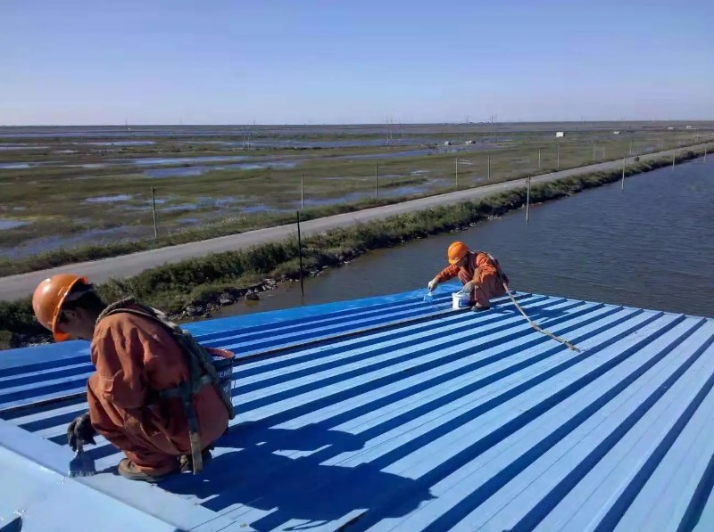 曹县彩钢瓦屋面防腐翻新